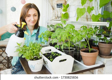 View Of A Young Woman Watering Tomato In Container On Her City Balcony Garden - Nature And Ecology Theme. Horizontal Frame