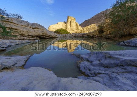 View of the Zohar stronghold, with a winter puddle, Judaean Desert (Dead Sea coast), southern Israel
