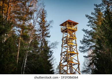 A viewing tower at the Blue Hills of Ogre. Latvia. Watchtower during sunset with trees. 