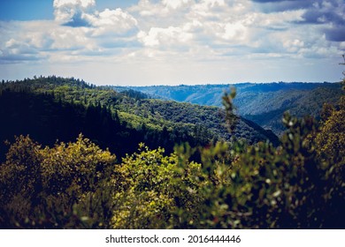 Viewpoint of the Foresthill Divide in CA