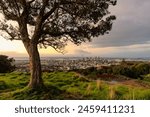 Viewpoint of Mount Eden with iconic tree and sky tower among illuminated city in the evening at Auckland, New Zealand