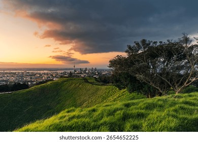 Viewpoint of Mount Eden with iconic tree and sky tower among illuminated city in the evening at Auckland, New Zealand