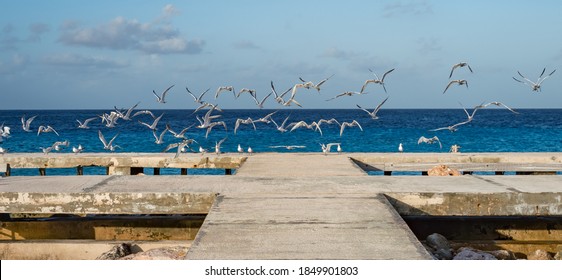 Views around the deserted island of Klein Curacao
