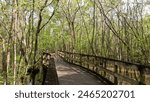 Views around Reed Bingham State Park in Georgia