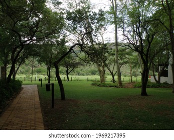 Views Around A South African Safari Lodge