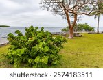 Views of Biscayne Bay National Park from the Visitors Center in January