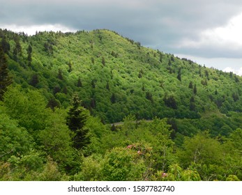 Views Of The Blue Ridge Parkway From Waterrock Knob 