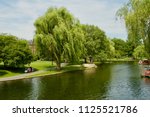 Views of Boston Public Garden in Boston, Massachusetts. 