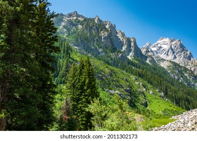 Views From The Cascade Canyon Hiking Trail