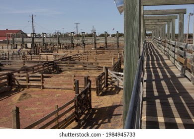 Views of the Fort Worth Stockyards, Texas