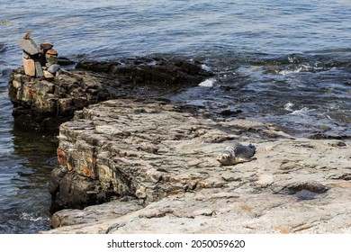 Views Of Frenchman Bay, Maine