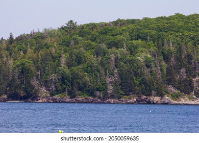 Views Of Frenchman Bay, Maine