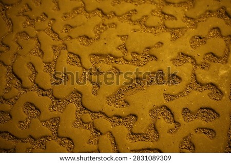Views inside Florida Caverns State Park Cave system - otherworldly texture, old gear