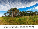 Views at Kissimmee Prairie Preserve State Park, Florida