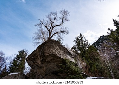 Views From Little Cottonwood Canyon, Utah, USA