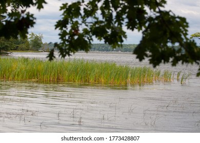 Views Of Ludington State Park