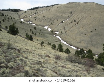 Views From Mount Taylor, New Mexico