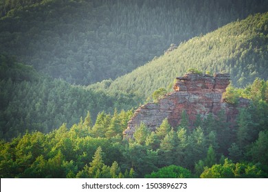 Views In The Palatinate Forest 