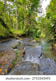 views of a river or cascading waterfall surrounded by dense forest