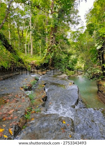 views of a river or cascading waterfall surrounded by dense forest