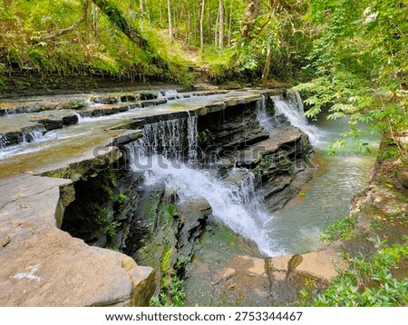 views of a river or cascading waterfall surrounded by dense forest
