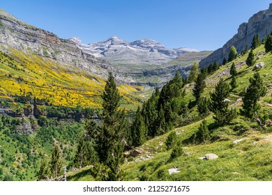 Views of the steps of Soaso and waterfall of the horse tail in the background in Ordesa and Monte Perdido National park, Aragon, Huesca, Spain.