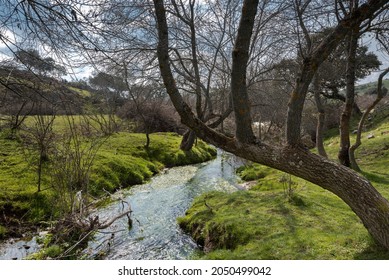 Views of the Tejada Stream, in the Dehesa of Navalvillar, Colmenar Viejo, Madrid, Spain