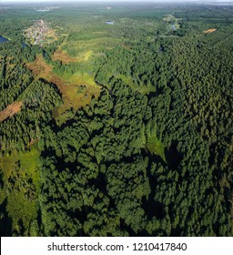 Views of a vast array of forest and river from the height of