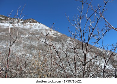 Views Of Wasatch Mountains Near Salt Lake City, Utah In Winter.