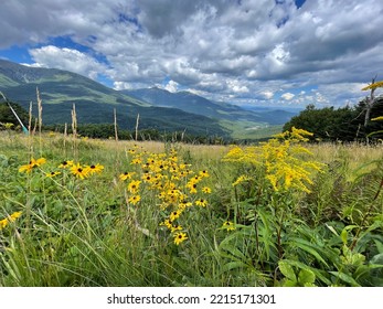 Views From Wildcat Ridgeline Hiking Trail