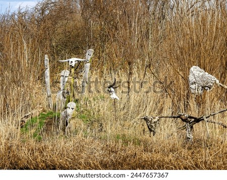 Viking harbor religious setup, in Bork, in the western part of Denmark