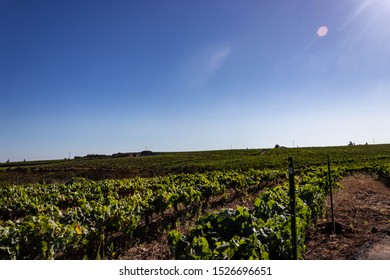 Vilaflor,Santa Cruz De Tenerife,Spain
30/07/2019 
Vineyard In Vilaflor,Tenerife
The Best Vine On The Island With The Stargazing Experience