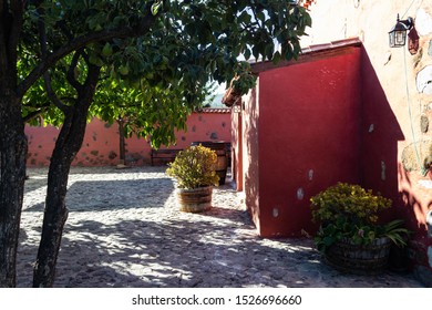 Vilaflor,Santa Cruz De Tenerife,Spain
30/07/2019 
Vineyard In Vilaflor,Tenerife
The Best Vine On The Island With The Stargazing Experience