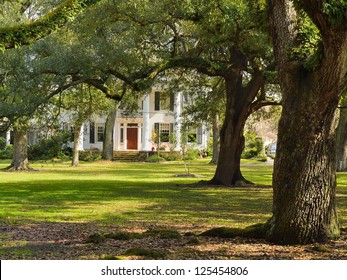 Villa At Audubon Park In New Orleans