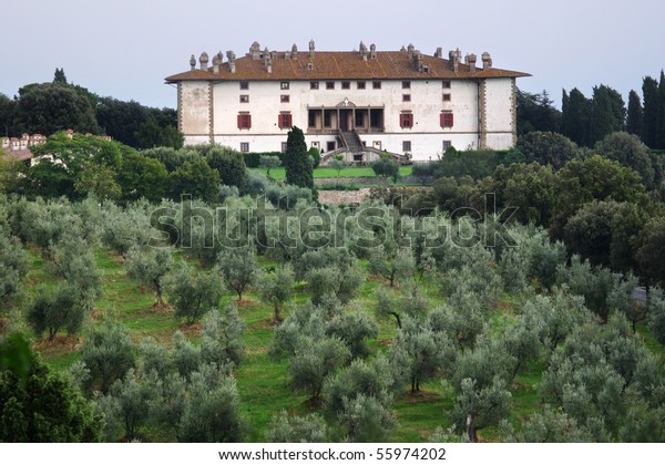 Villa Olive Garden Italy Stock Photo Edit Now 55974202