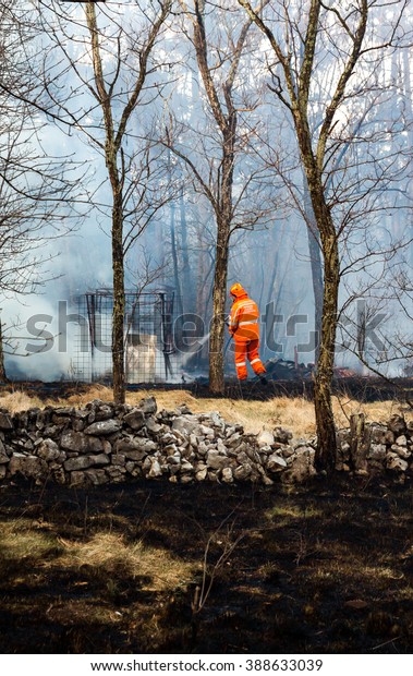 VILLA OPICINA,TRIESTE,ITALY - MARCH 6, 2013 -\
Civil protection of Friuli Venezia Giulia in action for extinguish\
a big fire in the forest.