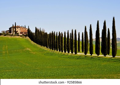 Villa In Tuscany/Villa