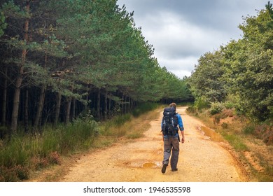 VILLAFRANCA MONTES DE OCA, SPAIN - SEPTEMBER 24 2020: Pilgrim Walking through the Forest outside Villafranca Montes de Oca on the Way of St James Pilgrimage Trail Camino de Santiago