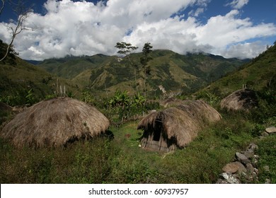 896 Baliem Valley Images, Stock Photos & Vectors 