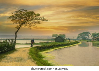 Village In Bangladesh During Sunset