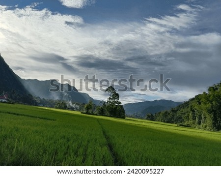 Village with beuatiful views of rice fields and hills