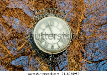 A village clockface is frozen in the winter frost, surrounded by bare trees and branches that are lit by the early morning sunlight. copy space.