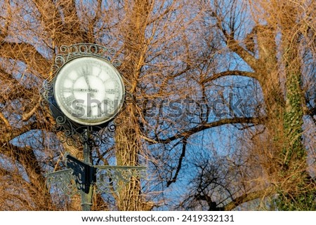 A village clockface is frozen in the winter frost, surrounded by bare trees and branches that are lit by the early morning sunlight. copy space.