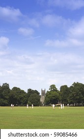 Village Cricket On The Green