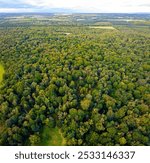 The village of Edwinstowe in the midst of Sherwood Forest, Nottinghamshire, England, UK