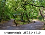 The village of Edwinstowe in the midst of Sherwood Forest, Nottinghamshire, England, UK