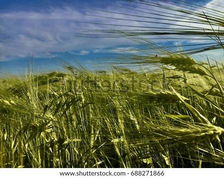 Similar – Foto Bild Corny vs. MilkyWay Natur