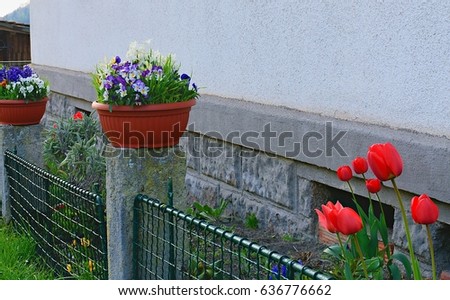 suburban idyll Garden