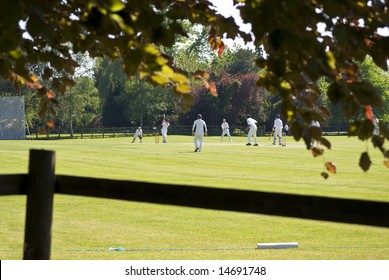 Village Green Cricket Match