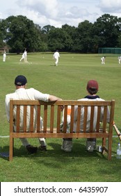 Village Green Cricket Match